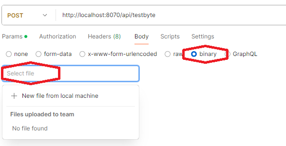 postman Body에 binary파일 추가
