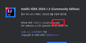 IntelliJ 버전확인