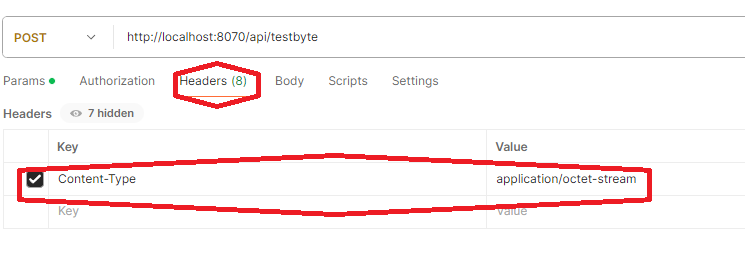 postman에서 byte배열 전송을 위해 Header에 속성추가
