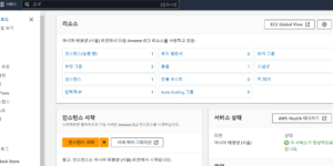 aws 워드프레스 인스턴스 대시보드